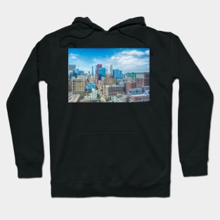 View from a Chicago Loop High Rise Hoodie